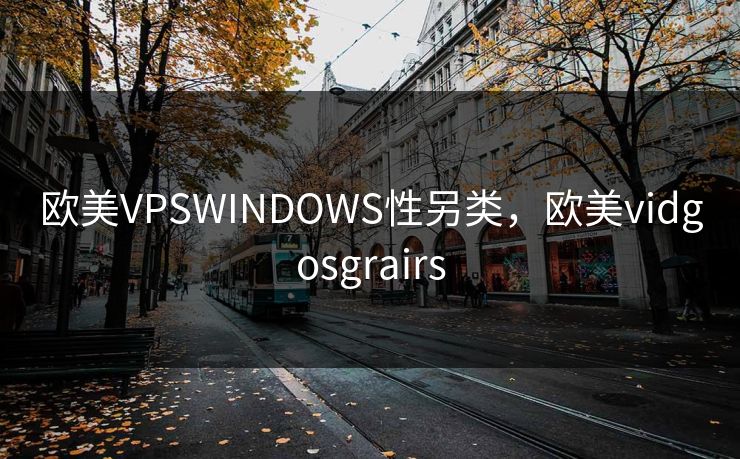 欧美VPSWINDOWS性另类，欧美vidgosgrairs