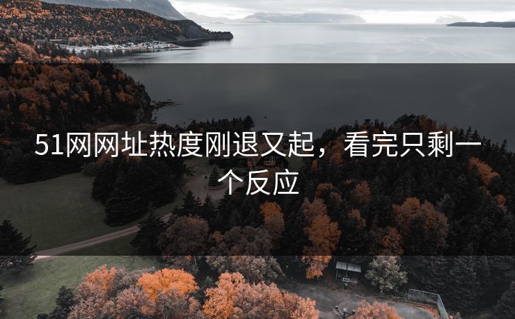 51网网址热度刚退又起,看完只剩一个反应